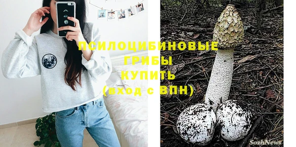 прущие крисы Белокуриха