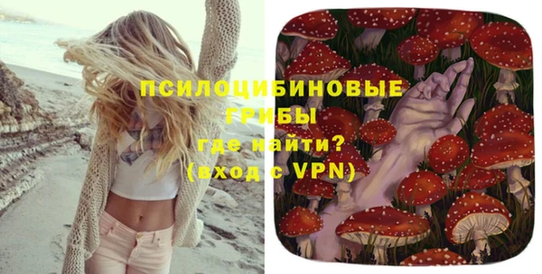 прущие крисы Белокуриха