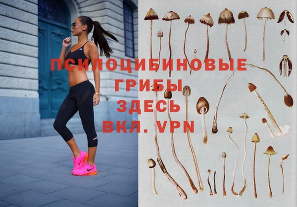 apvp Беломорск