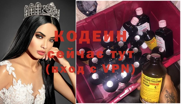 apvp Богданович