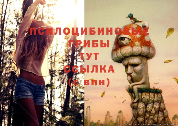 apvp Беломорск