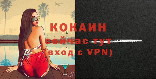 прущие крисы Белокуриха