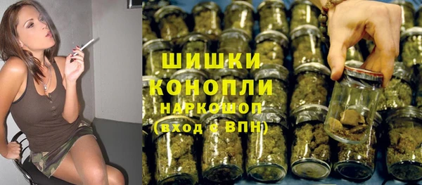 прущие крисы Белокуриха