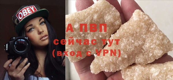 прущие крисы Белокуриха