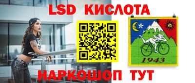 молекула духа Кингисепп