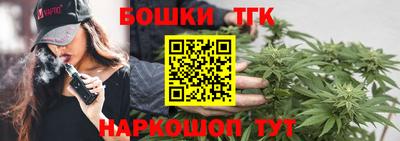 молекула духа Кингисепп