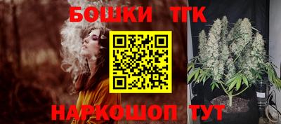 молекула духа Кингисепп