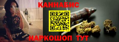 молекула духа Кингисепп
