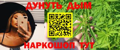 молекула духа Кингисепп