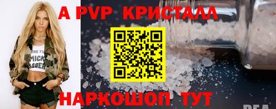 молекула духа Кингисепп