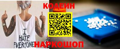 молекула духа Кингисепп
