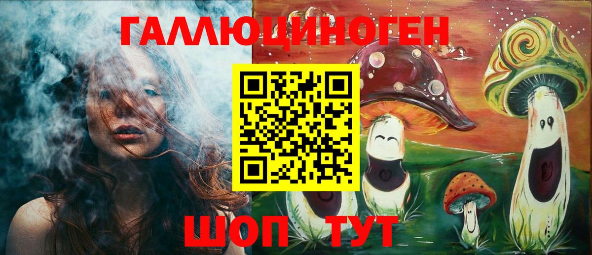 Псилоцибиновые грибы Psilocybine cubensis Гусев