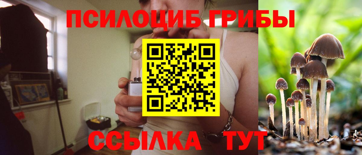Галлюциногенные грибы Psilocybine cubensis  Вход с VPN  Гусев 