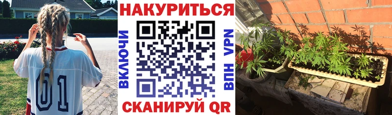Шишки марихуана Bruce Banner  Гусев 